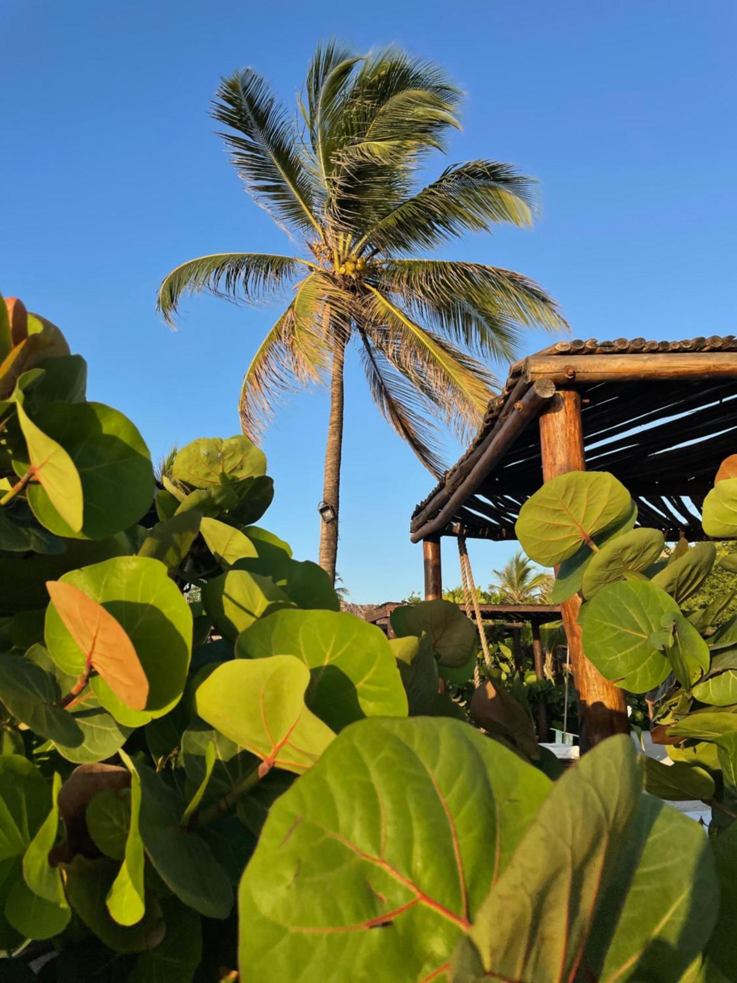 Namaste Beach Club & Hotel Playa de Punta Arena Kültér fotó